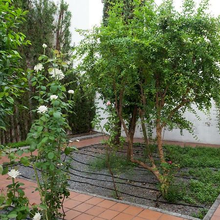 Apartamento De Lujo En Antiguo Convento Гранада Екстер'єр фото